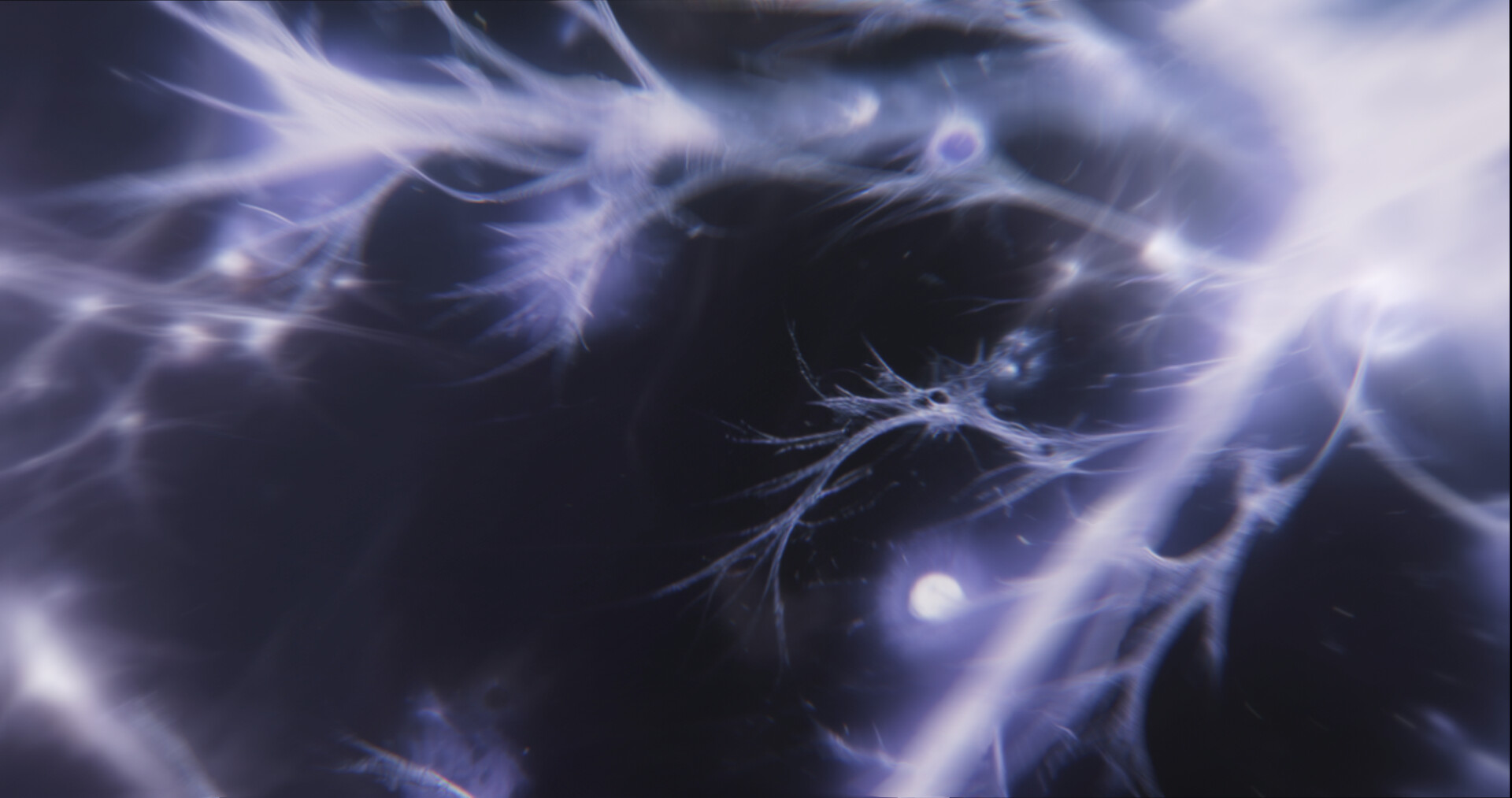 GENEOLOGY OF VIOLENCE – 1